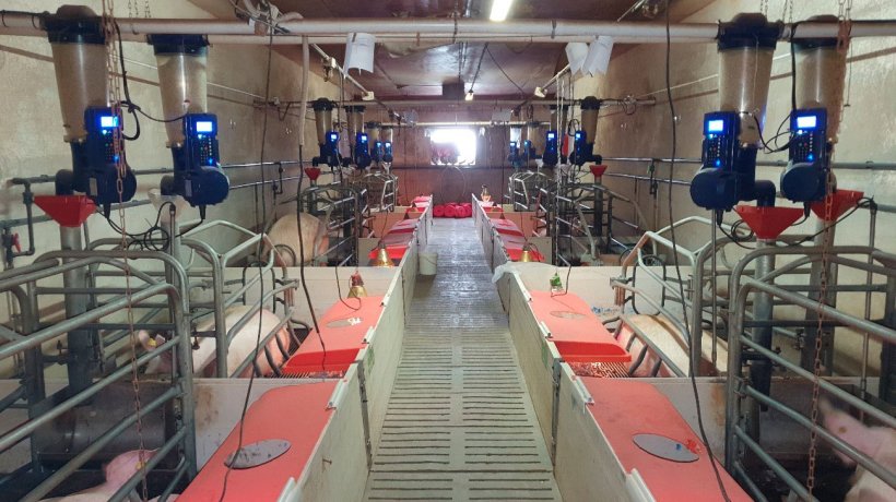 照片1：这项研究是在一个商品猪场（Segovia Aguilafuente，Centro de Experisación Porcino）进行的，图为该猪场分娩舍的电子饲喂器。