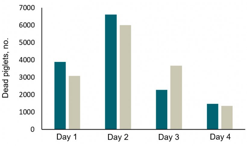 图2：采用SWAP分娩栏的两个猪群的仔猪死亡率（记录的2年时间里）。大多数仔猪在出生后4天内死亡，特别是在出生后24小时内。