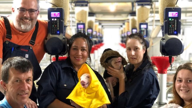 照片2:团队合作