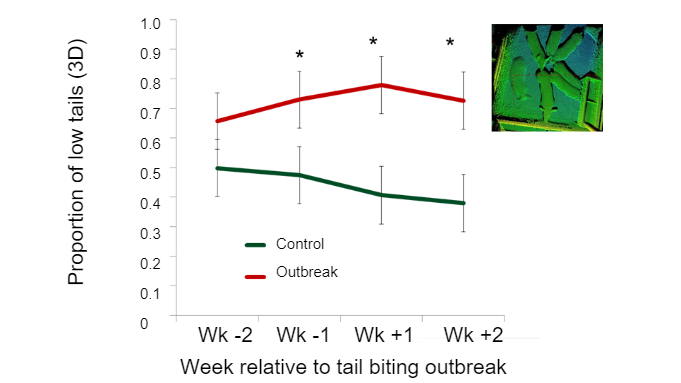 图2：与咬尾爆发前相比，每周的低尾比例。