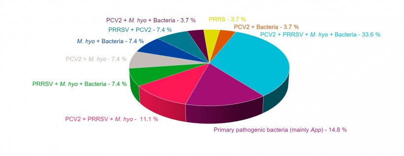 图1：穆尔西亚大学兽医学系病理解剖学实验室在过去四年中诊断的PRDC病例中发现的病理集锦。  