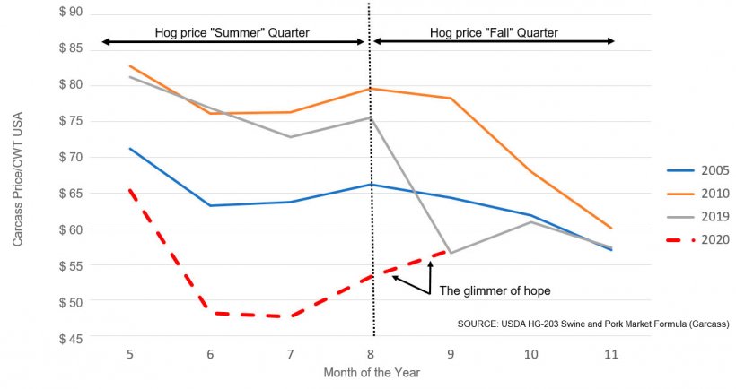 图：反季节夏季后秋季季度生猪价格走势（自2001年以来，反季节性夏季仅出现在2005年、2010年、2019年、2020年）