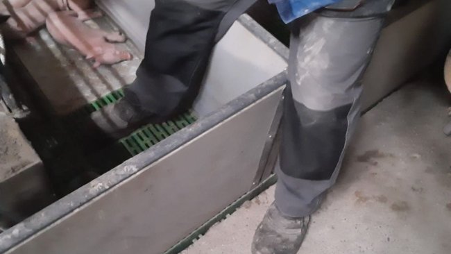 图1:尽量减少进入分娩栏。由Ramaderies Duch提供。