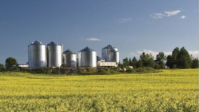 图2。北美饲料加工厂。来源:ANACAN。