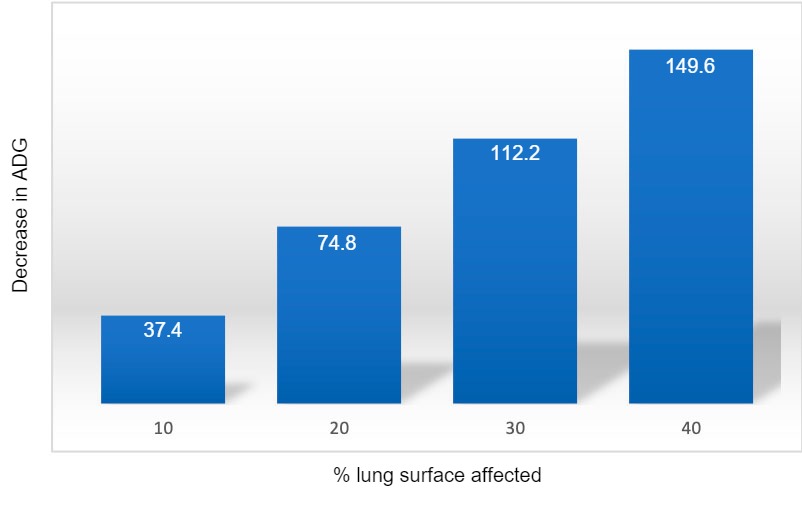 图1：平均日增重（克）的减少与受肺炎影响的肺面积的百分比有关。改编自Straw等人（1989）。