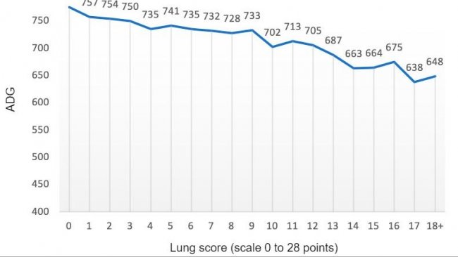图2：平均日增重值（克）与肺部评分的关系（0到28分）。改编自Pagot等人（2007）。