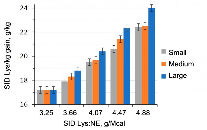  图1：日粮赖氨酸与能量比对育肥猪（28-63 kg LW）的影响。（Aymerich等人，2020年）。