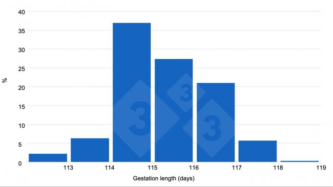 图1:来自333用户的回复表明妊娠期有超过115天的趋势。