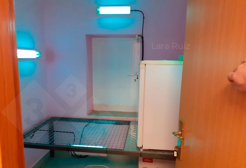 图3：用于小材料消毒的紫外线室。在该案例中，这个房间也用于接收外来精液储存冰箱。照片由Lara Ruiz提供。