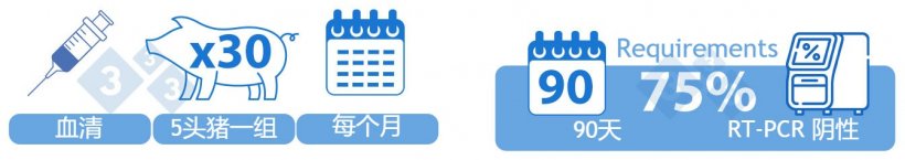 类别I-B阳性不稳定低流行。选项 1) 监测30头断奶仔猪，并以5头为一组进行检测。 在90天内，75%（四分之三）的批次必须是 PRRSv RT-PCR 阴性才能转归为该类别。