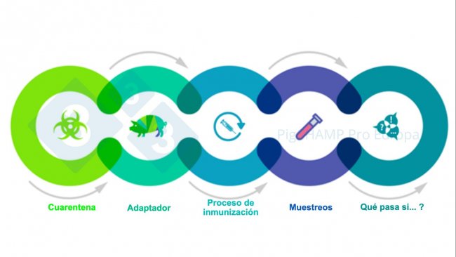 Figure 1. Key interconnected aspects that should be understood prior to the visit.