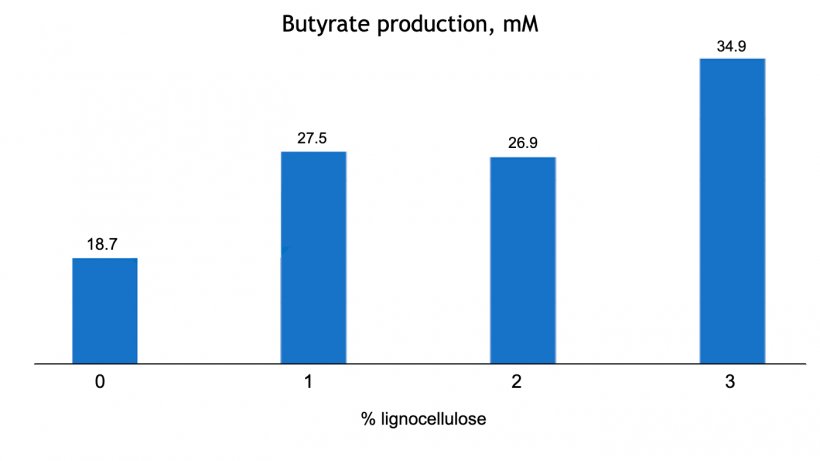 Figure 1. Dose-dependent effect of lignocellulose inclusion on butyrate production (mM) in weaned piglets at 63d of life (Adapted from Silva-Guillen et al., 2022) P=0.001 SEM= 1.810.
