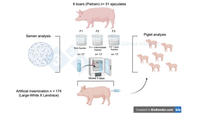 Figure 1. Graphical summary of the study.