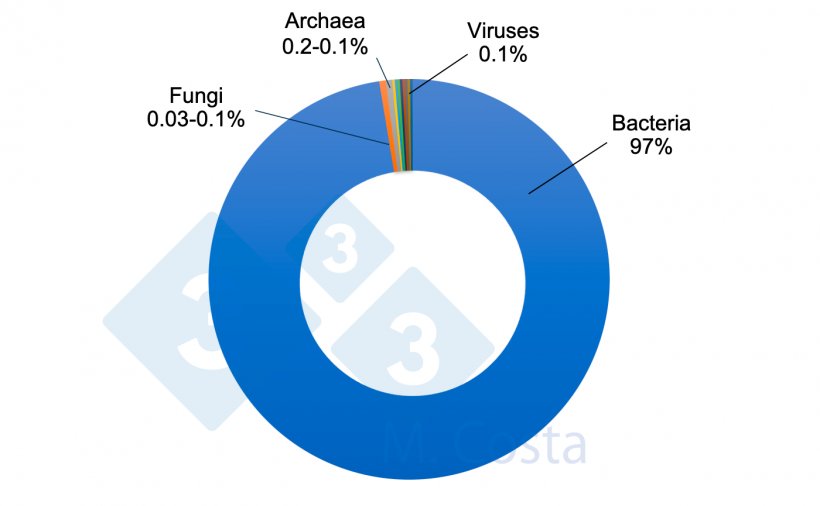 图1：猪肠道微生物群中不同微生物的估计相对比例。虽然细菌与猪肠道中的绝大多数微生物相对应，但其他微生物在复杂的肠道-微生物群串扰网络中发挥着重要作用。
