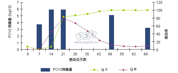 Evolution of the IgGs and IgMs response measured with a blocking ELISA (INGENASA) and of the PCV2 viremia after an experimental exposure (Segalés et al. 2005)