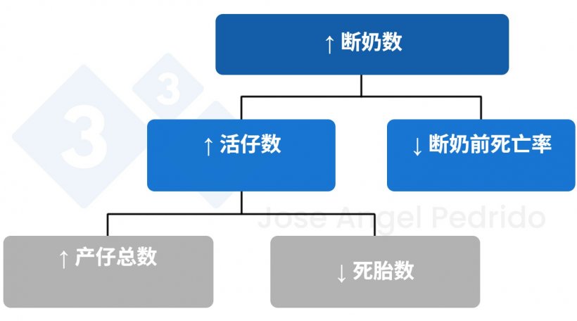 图 1. 增加断奶仔猪数量的决策树。