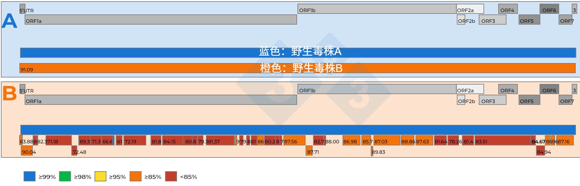 <p>图 2: <strong>A)</strong> 从15:1血清混样(Ct值为18.4)中恢复的两个完整PRRSV基因组序列的比较示意图。一种病毒被设定为参考毒株(蓝色)。病毒间核苷酸相似性由红色框内的数字表示。<strong>B)</strong>从5:1血清混样(Ct值为19.5)中恢复的两个完整PRRSV基因组序列的比较示意图。一种病毒被设定为参考毒株(蓝色)。从第二种病毒中回收的基因组片段之间的核苷酸相似性水平用颜色编码,也用红色方框中的数字表示。PRRSV基因组基因在A组和B组的顶部都有表示。PRRSV全基因组序列中存在的单个ORF片段在A和B组顶部都有表示。</p>