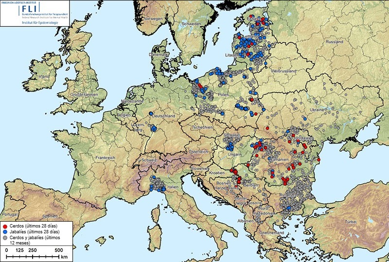 <p>Figure 1. Outbreaks of African swine fever (genotype II) in Albania, the Baltic States, Bosnia and Herzegovina, Bulgaria, Germany, Greece, Italy, Kosovo, Croatia, Moldova, Montenegro, North Macedonia, Poland, Romania, Sweden, Serbia, Slovakia, Czech Republic, Ukraine, and Hungary (August 20, 2024, to August 20, 2025). Data source: ADIS, TSN (as of August 20, 2025, 8:40 a.m.)</p>
