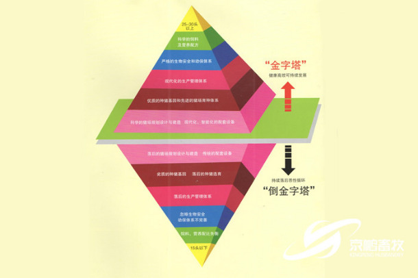 京鹏环宇畜牧金字塔模型