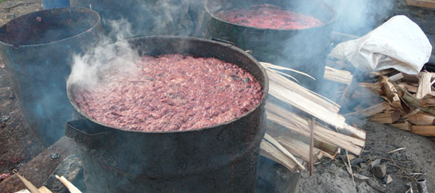Boiling of swill before feeding to the pigs at a semi-commercial farm in Kiambu, Kenya