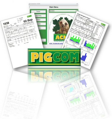 pigcom