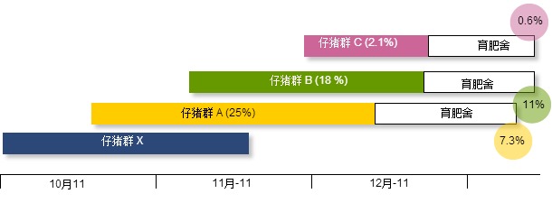 各群仔猪在保育舍的时间顺序