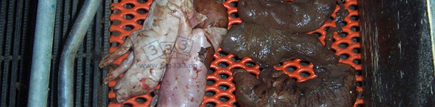 大量的流产胎儿明显木乃伊化，且已死在子宫内一段时间。