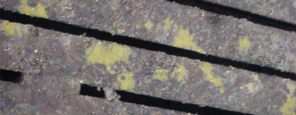 水样,黄色呈抛射状的腹泻,见于5周龄的断奶仔猪