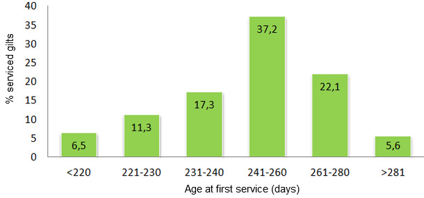 Age at first service in 2012