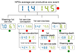 Comparative of the NPDs in 2012 classified according to the sow event. Average of the database (blue) vs the average on the analysed farm (green)