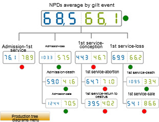 Comparative of year 2012 of the NPDs according to the gilt event. Average of the database (blue) vs the average on the analysed farm (green)