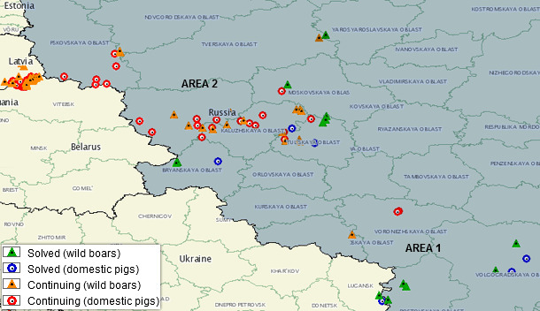 ASF outbreaks in Russia