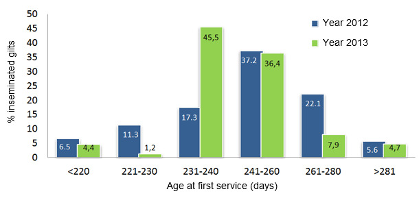 Comparative of the age at first service between years 2012 and 2013