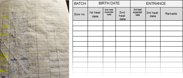 Form for the control of the gilts' heats