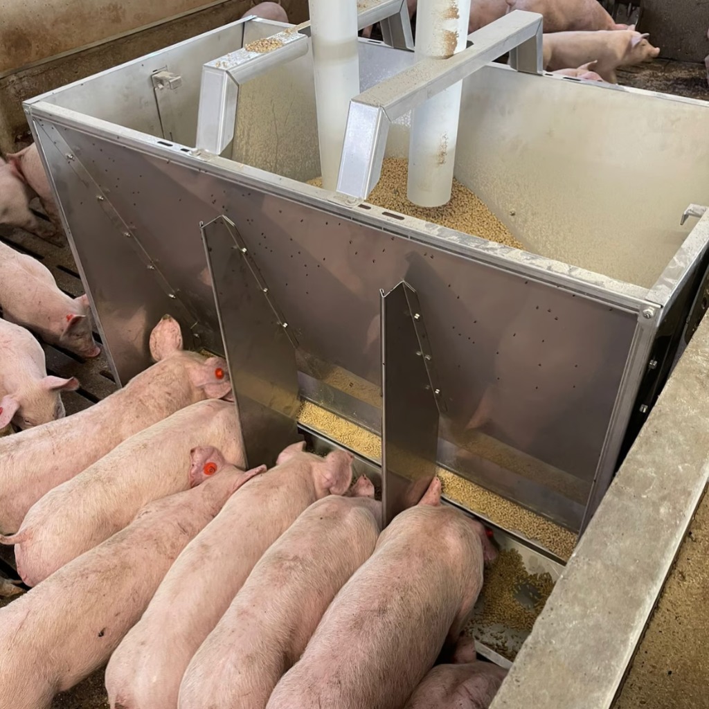 Tolva inoxidable Exafan Poseidón