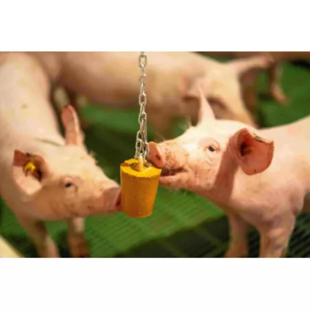 QUIET PIG PIGLETS enrichment material
