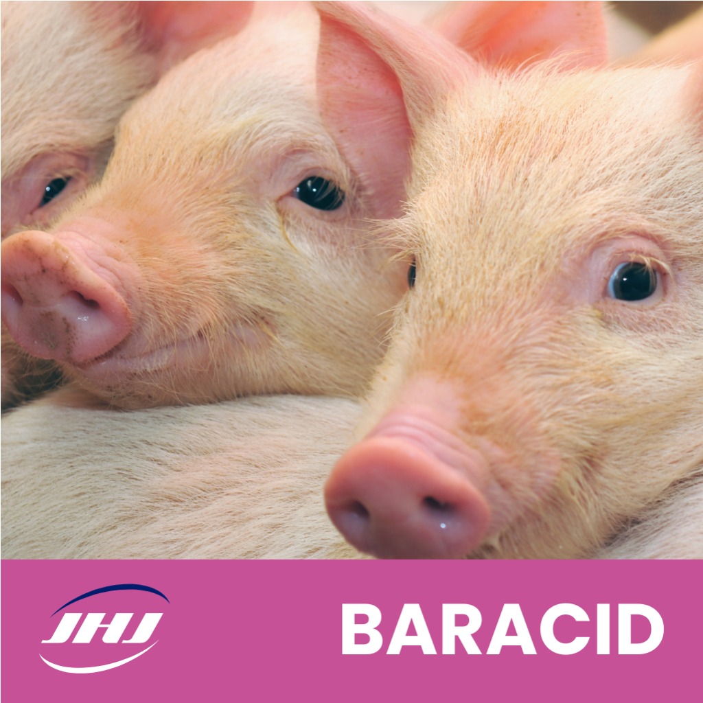 Baracid