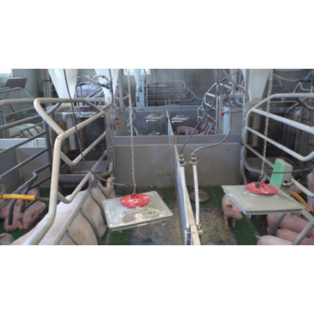 System ogrzewania bez żarówek Sun Skot