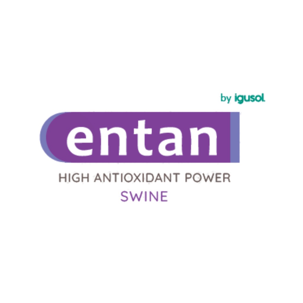 ENTAN