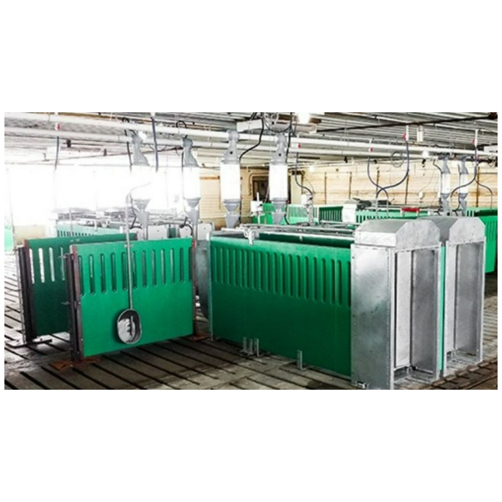 Gestación grupal de cerdas (ESF)