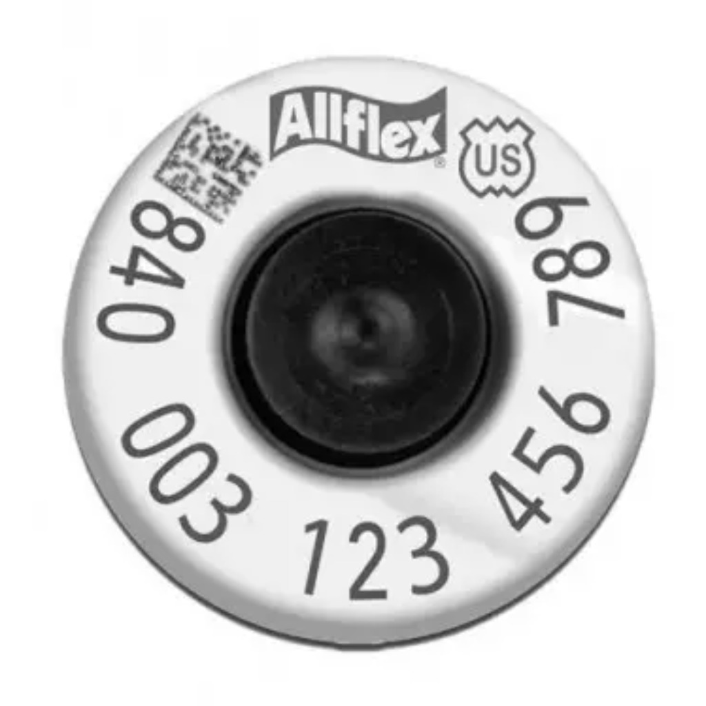 Elektroniczny kolczyk do ucha HP HDX z przyciskiem