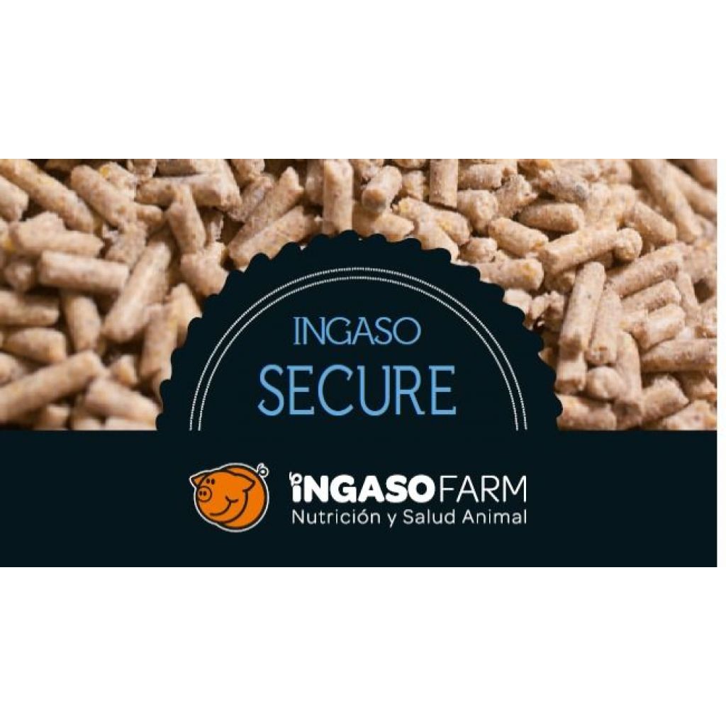 INGASO SECURE