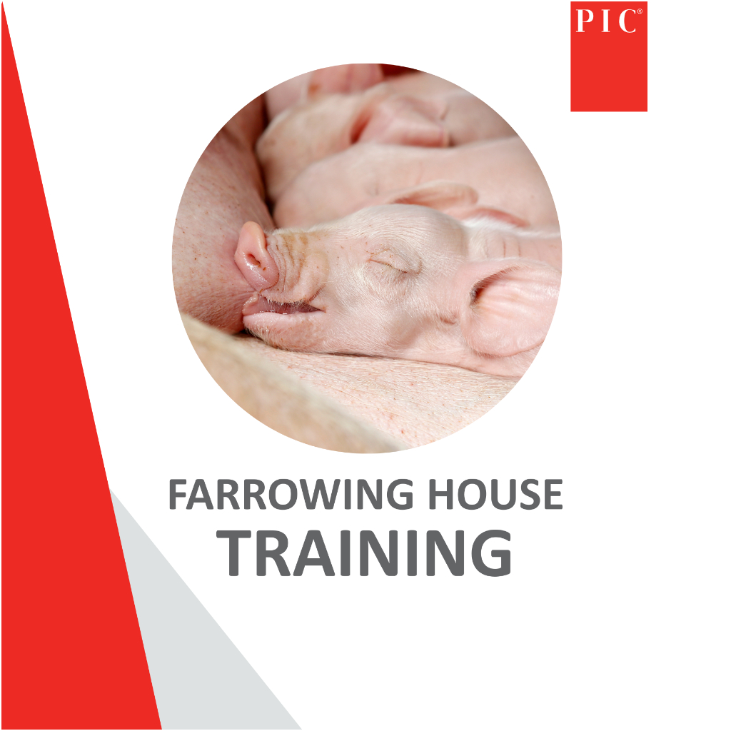 ONLINE Farrowing House Training - 25 March 2026