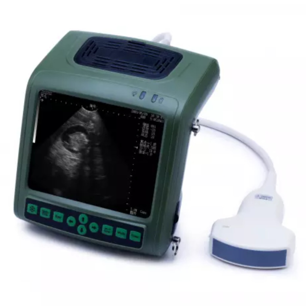 Ecografo a sonda convessa Kaixin ES8 da 3,5 MHz