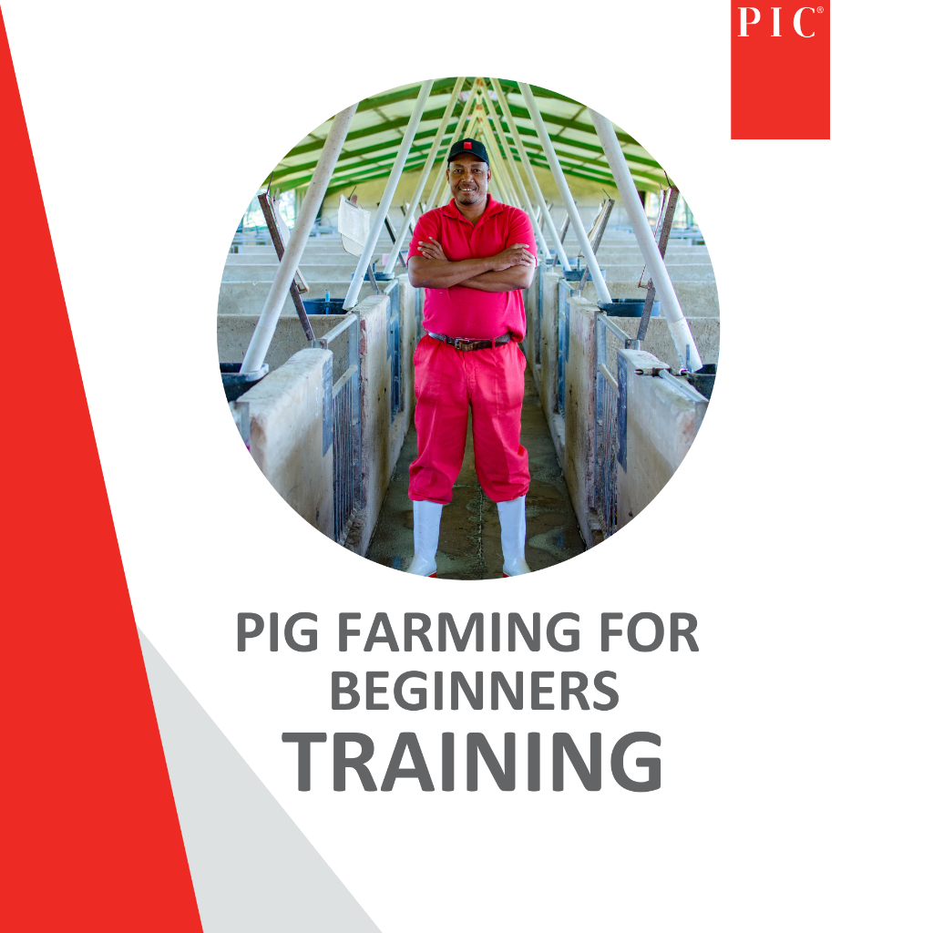 ONLINE Pig farming for beginners - 22 April 2026