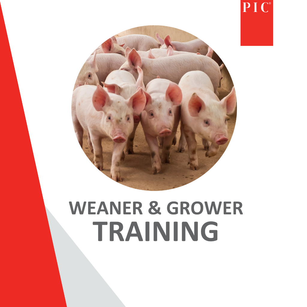 ONLINE Weaner and Grower Training - 25 Nov 2026