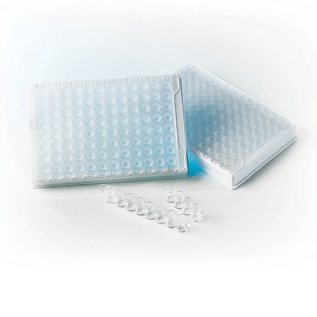 Easy Kit Bacterial Concentration – Bacterial Concentration Test Kit