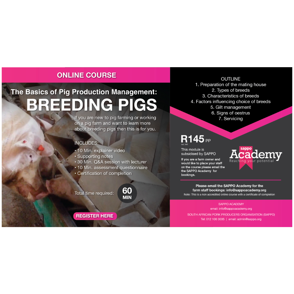 Breeding Pigs
