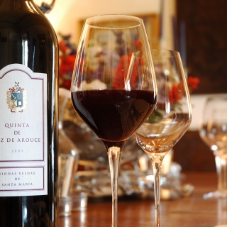 志宇 杨 志宇 杨