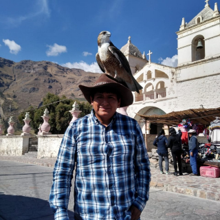 Alfredo Huaman Sanchez